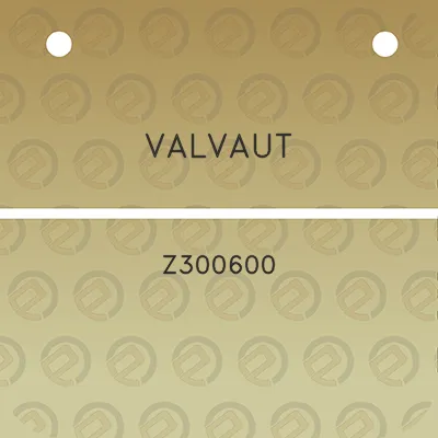 valvaut-z300600