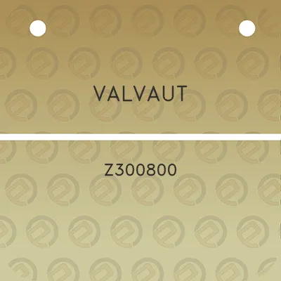 valvaut-z300800