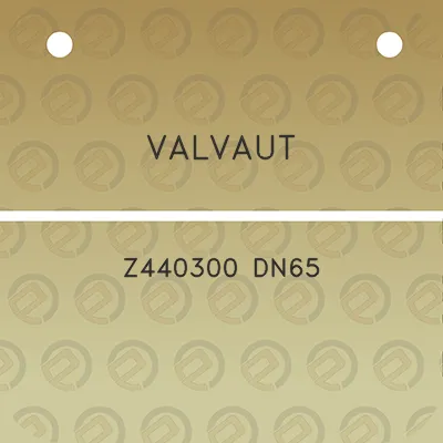 valvaut-z440300-dn65