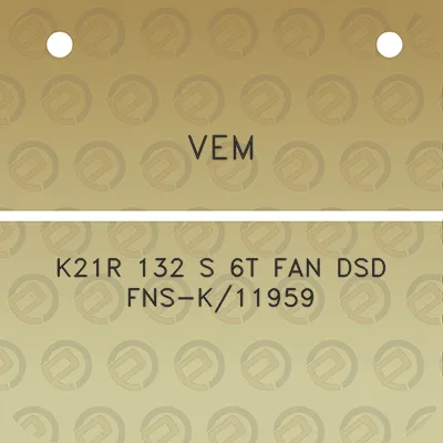 vem-k21r-132-s-6t-fan-dsd-fns-k11959