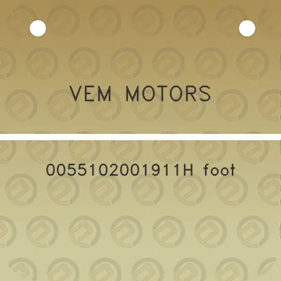 vem-motors-0055102001911h-foot