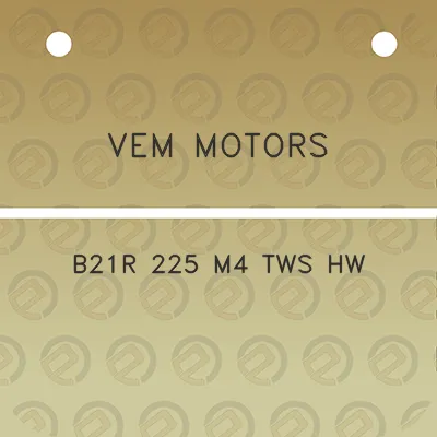 vem-motors-b21r-225-m4-tws-hw