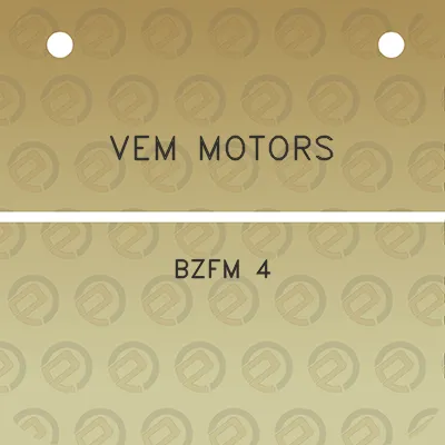 vem-motors-bzfm-4