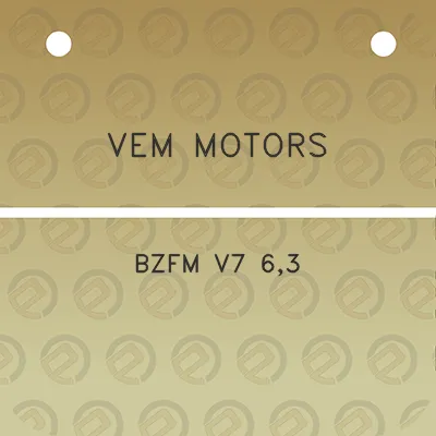 vem-motors-bzfm-v7-63