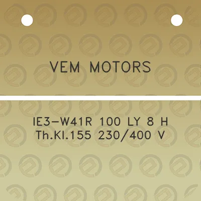 vem-motors-ie3-w41r-100-ly-8-h-thkl155-230400-v