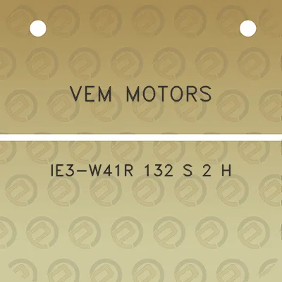 vem-motors-ie3-w41r-132-s-2-h