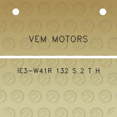 vem-motors-ie3-w41r-132-s-2-t-h