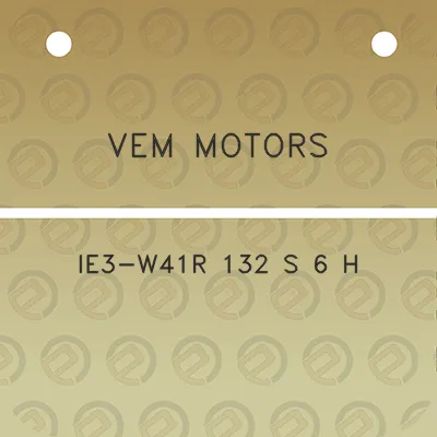 vem-motors-ie3-w41r-132-s-6-h