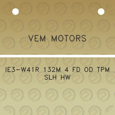 vem-motors-ie3-w41r-132m-4-fd-od-tpm-slh-hw