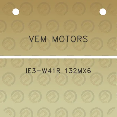 vem-motors-ie3-w41r-132mx6