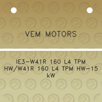 vem-motors-ie3-w41r-160-l4-tpm-hww41r-160-l4-tpm-hw-15-kw