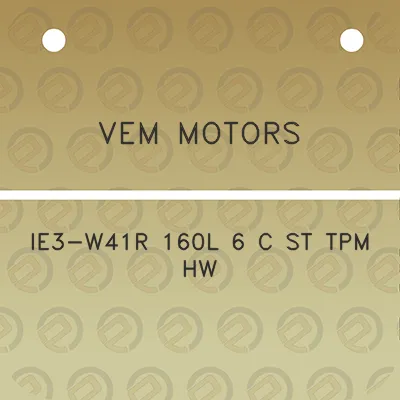 vem-motors-ie3-w41r-160l-6-c-st-tpm-hw