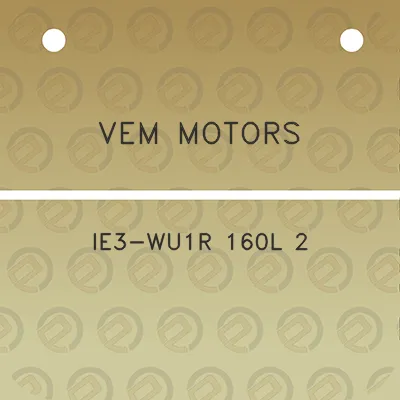 vem-motors-ie3-wu1r-160l-2