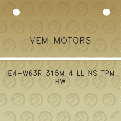 vem-motors-ie4-w63r-315m-4-ll-ns-tpm-hw