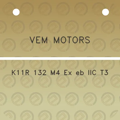 vem-motors-k11r-132-m4-ex-eb-iic-t3