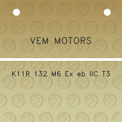 vem-motors-k11r-132-m6-ex-eb-iic-t3