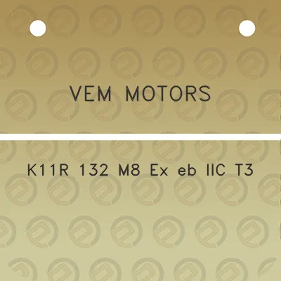 vem-motors-k11r-132-m8-ex-eb-iic-t3