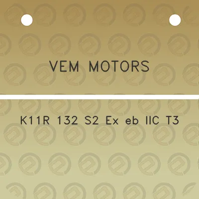 vem-motors-k11r-132-s2-ex-eb-iic-t3