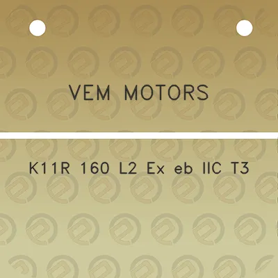 vem-motors-k11r-160-l2-ex-eb-iic-t3