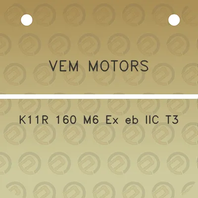 vem-motors-k11r-160-m6-ex-eb-iic-t3