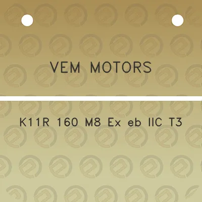 vem-motors-k11r-160-m8-ex-eb-iic-t3