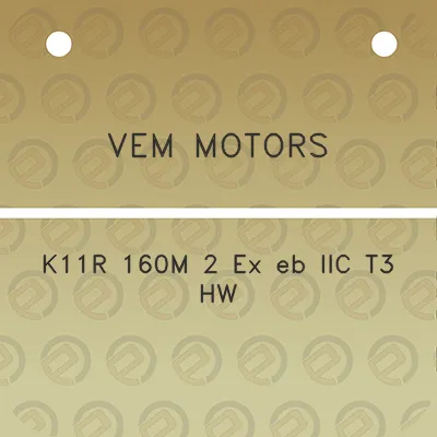 vem-motors-k11r-160m-2-ex-eb-iic-t3-hw