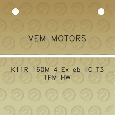 vem-motors-k11r-160m-4-ex-eb-iic-t3-tpm-hw