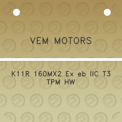 vem-motors-k11r-160mx2-ex-eb-iic-t3-tpm-hw