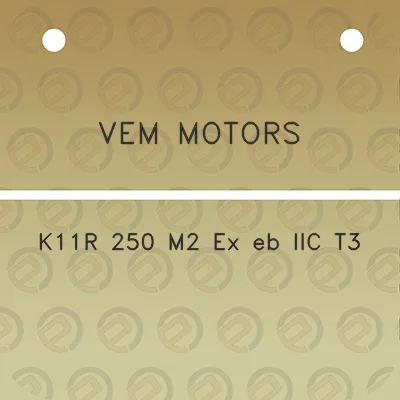 vem-motors-k11r-250-m2-ex-eb-iic-t3