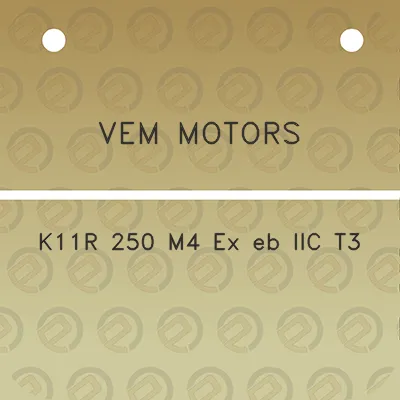 vem-motors-k11r-250-m4-ex-eb-iic-t3