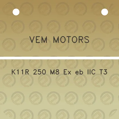 vem-motors-k11r-250-m8-ex-eb-iic-t3