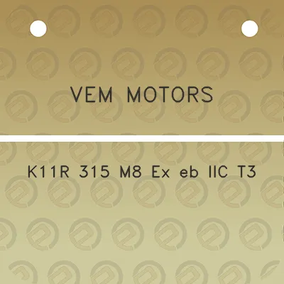 vem-motors-k11r-315-m8-ex-eb-iic-t3