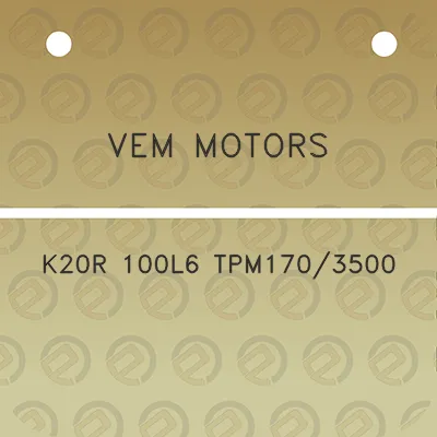 vem-motors-k20r-100l6-tpm1703500