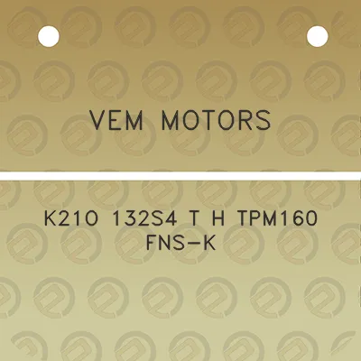 vem-motors-k21o-132s4-t-h-tpm160-fns-k