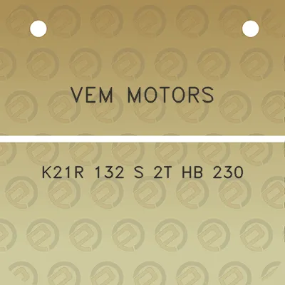 vem-motors-k21r-132-s-2t-hb-230