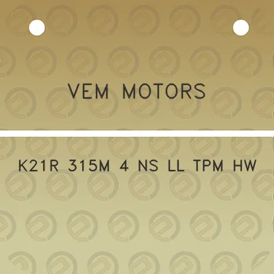 vem-motors-k21r-315m-4-ns-ll-tpm-hw