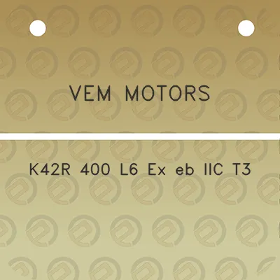 vem-motors-k42r-400-l6-ex-eb-iic-t3