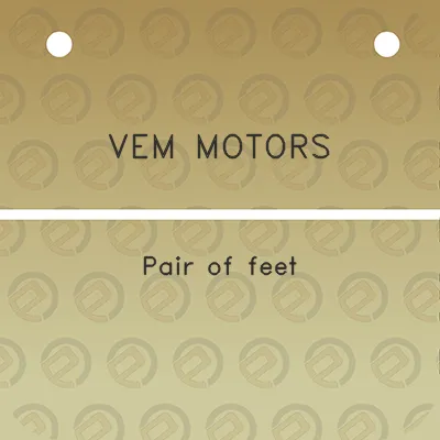 vem-motors-pair-of-feet