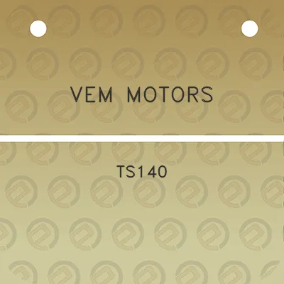 vem-motors-ts140