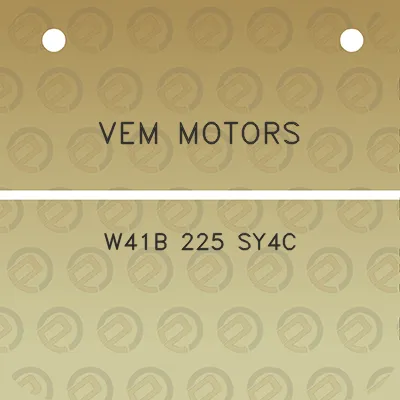 vem-motors-w41b-225-sy4c