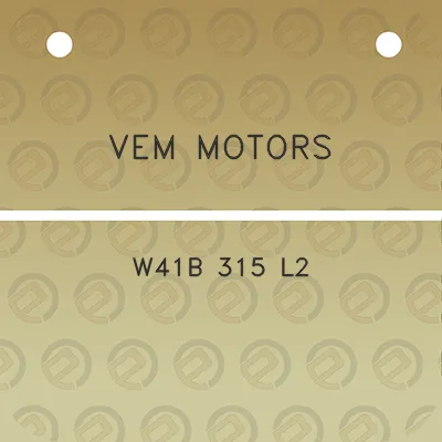 vem-motors-w41b-315-l2