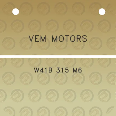 vem-motors-w41b-315-m6