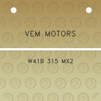 vem-motors-w41b-315-mx2