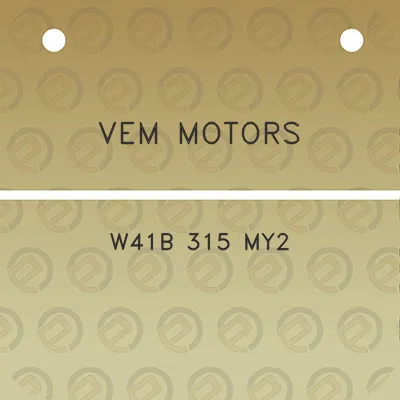 vem-motors-w41b-315-my2