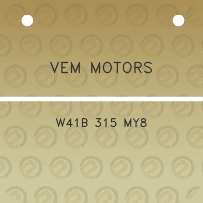 vem-motors-w41b-315-my8