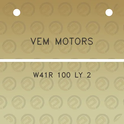 vem-motors-w41r-100-ly-2