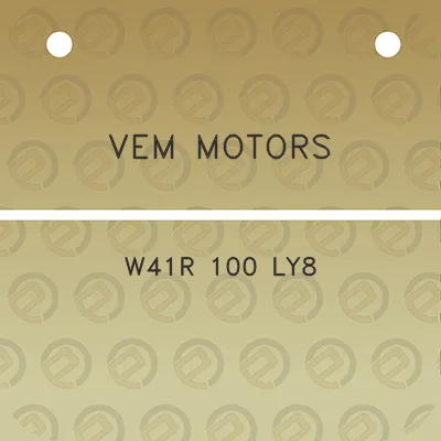 vem-motors-w41r-100-ly8