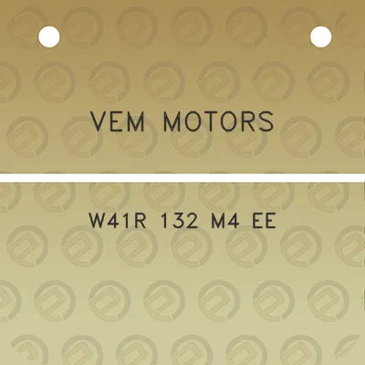 vem-motors-w41r-132-m4-ee