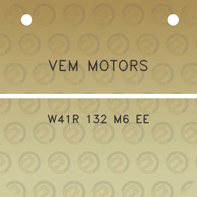 vem-motors-w41r-132-m6-ee