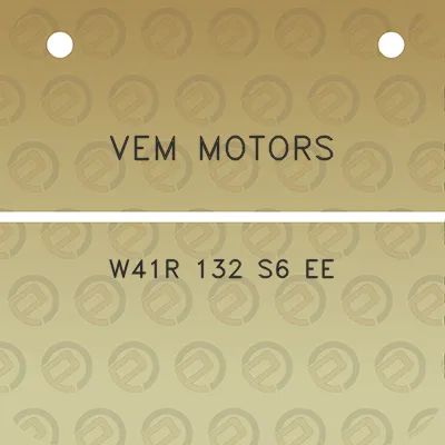 vem-motors-w41r-132-s6-ee